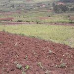 farming project Kutokea